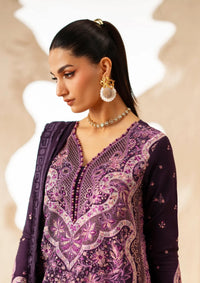 Bin Ilyas Saqqara Fall Winter'25 D-163 B