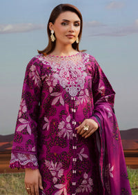 Parishay Rang e Sarma Khaddar'25 SAR-09