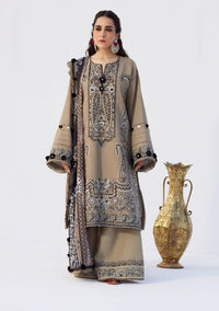 Saira Rizwan Winter'25 SR-02 Rukh