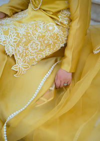 mohsin-saeed-fabrics-luxury-fashion-collection-daily-wear-wedding-and-formal-in-budget-This-product-is-from-sidra-fahad-eid-pret-silk25-sf-237-is-available-on-Mohsin-saeed-fabrics-website.