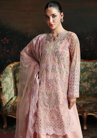 Rajbari Sage Luxury Formals'26 D-07 Eyzel