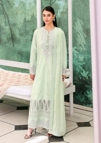 Roheenaz Veil Of Summer'26 D-07 Serene Dusk