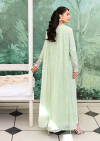 Roheenaz Veil Of Summer'26 D-07 Serene Dusk