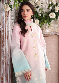 Rang Rasiya Nova Summer Edit'26 D-12 Serene