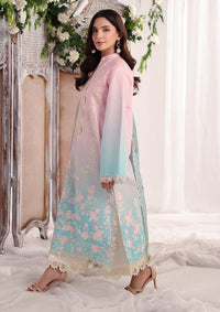 Rang Rasiya Nova Summer Edit'26 D-12 Serene