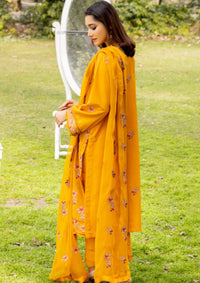 Shaista Areeha Karandi’23 SKE-24 - Mohsin Saeed Fabrics