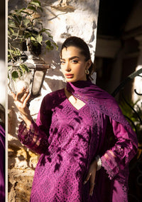 Shaista Premium Lawn'24 D-467 - Mohsin Saeed Fabrics