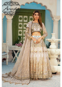 Areesha Luxury Festive'23 Vol-17 D-03 STONE