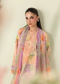 Roheenaz Rosette Lawn'26 D-62B Sunlit Fern