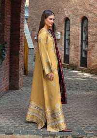 Mushq Broadway Under The Tuscan Sun'25 D-10 Sunlit Siena