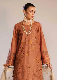RA Tehzeeb Chikankari Lawn'24 TL-254 - Mohsin Saeed Fabrics
