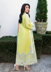 Mushq Amoi Held by Love'26 D-06 Tender Whisper