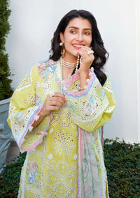 Mushq Amoi Held by Love'26 D-06 Tender Whisper