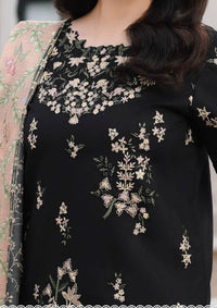 Rang Rasiya Florence Luxury Festive Edit'26 RR-Afsaneh