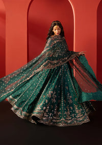 Afrozeh Divani Silk Edit'25 D-02 Afsar