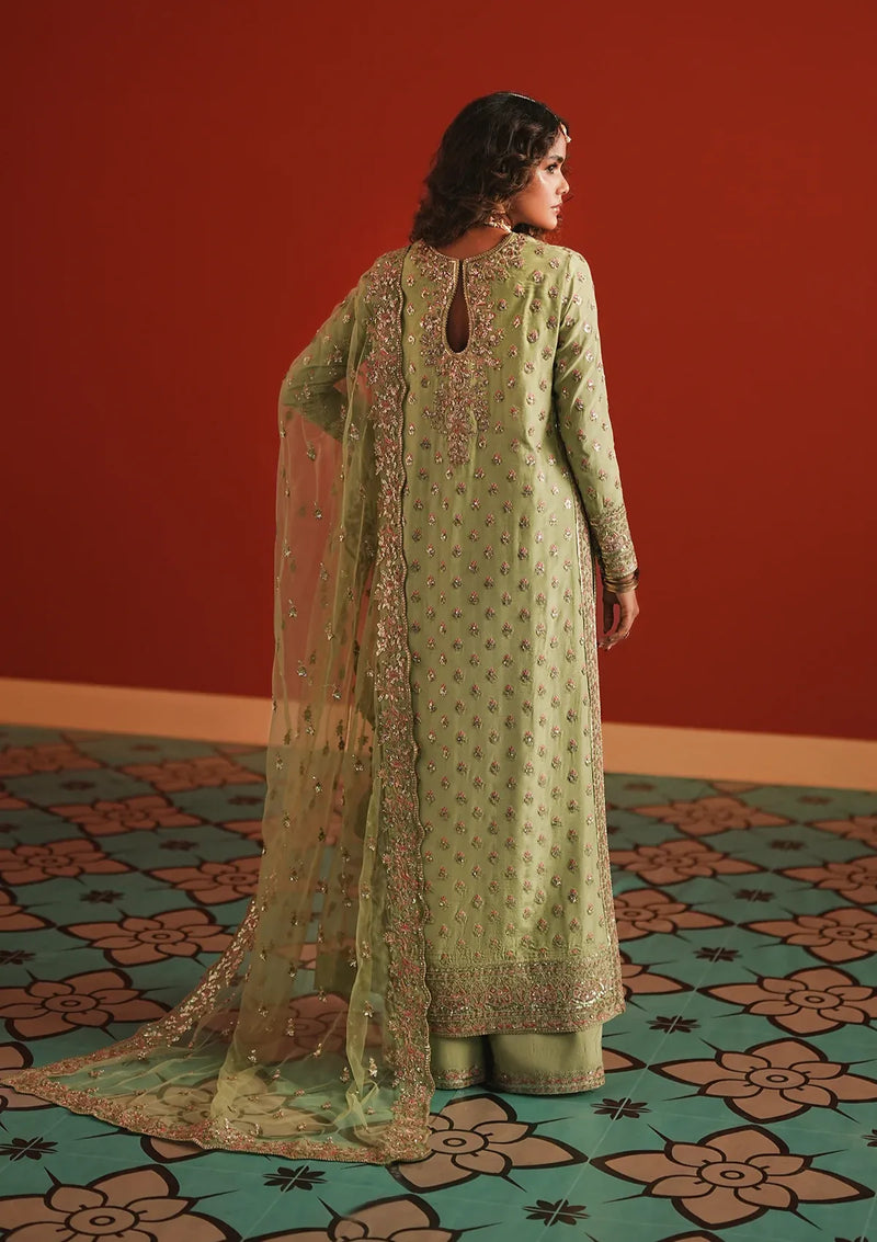 Afrozeh Divani Silk Edit'25 D-05 Shahwar