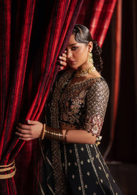 Afrozeh Divani Silk Edit'25 D-07 Gulraiz