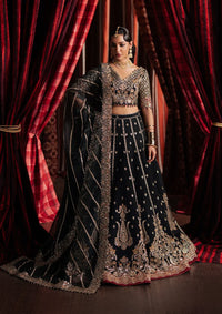 Afrozeh Divani Silk Edit'25 D-07 Gulraiz