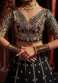 Afrozeh Divani Silk Edit'25 D-07 Gulraiz