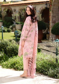 Rang Rasiya Lifestyle Lawn'26 -IVY