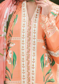 Rang Rasiya Lifestyle Lawn'26 -MELLOW