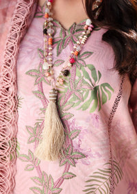 Rang Rasiya Lifestyle Lawn'26 -IVY