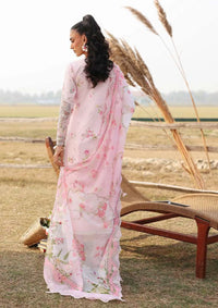 Sardinia Festive Lawn'26 D-01 ROSE BUD