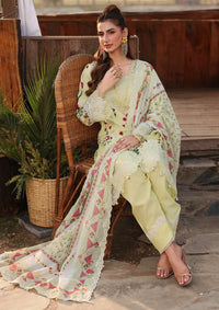 Sardinia Festive Lawn'26 D-12 SUNLIT