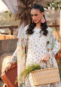 Sardinia Festive Lawn'26 D-07 PRIMROSE