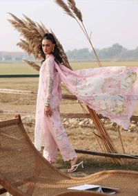 Sardinia Festive Lawn'26 D-01 ROSE BUD