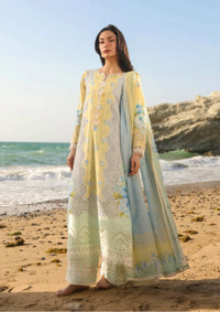 Manara Summer Dreams'26 -SUNDROP
