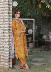 Clothere By Anam Lawnkari'24 D-01 Yellow Mustard - Mohsin Saeed Fabrics