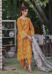 Clothere By Anam Lawnkari'24 D-01 Yellow Mustard - Mohsin Saeed Fabrics