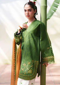 Saira Rizwan Laanem'26 D-08 ELOWEN-A