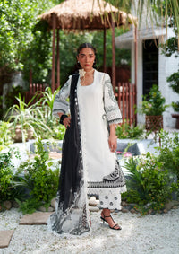 Saira Rizwan Laanem'26 D-02 AMARA-B