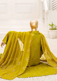 Dukhtar By KZ Lawn Karandi'24 Vol-01 D-06