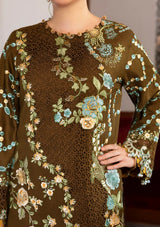 Asifa & Nabeel Plush Luxury Winter'26 WLXU-02 Hazel Hue