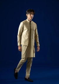 mohsin-saeed-fabrics-designer-daily-wear-formal-and-wedding-suits-within-budget-This-product-is-from-rang-by-ahmad-raza-vol-2-ar5176-is-available-on-Mohsin-saeed-fabrics-website.