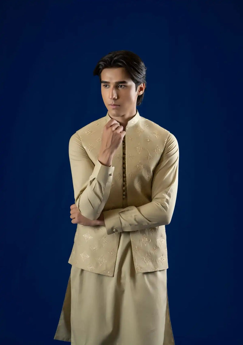 mohsin-saeed-fabrics-designer-daily-wear-formal-and-wedding-suits-within-budget-This-product-is-from-rang-by-ahmad-raza-vol-2-ar5176-is-available-on-Mohsin-saeed-fabrics-website.