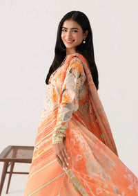 Roheenaz Rosette Lawn'26 D-67A Whispering Wind