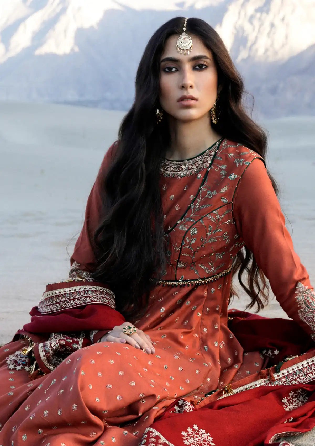 Zara Shahjahan Winter Shawl'23 D-04 - Mohsin Saeed Fabrics
