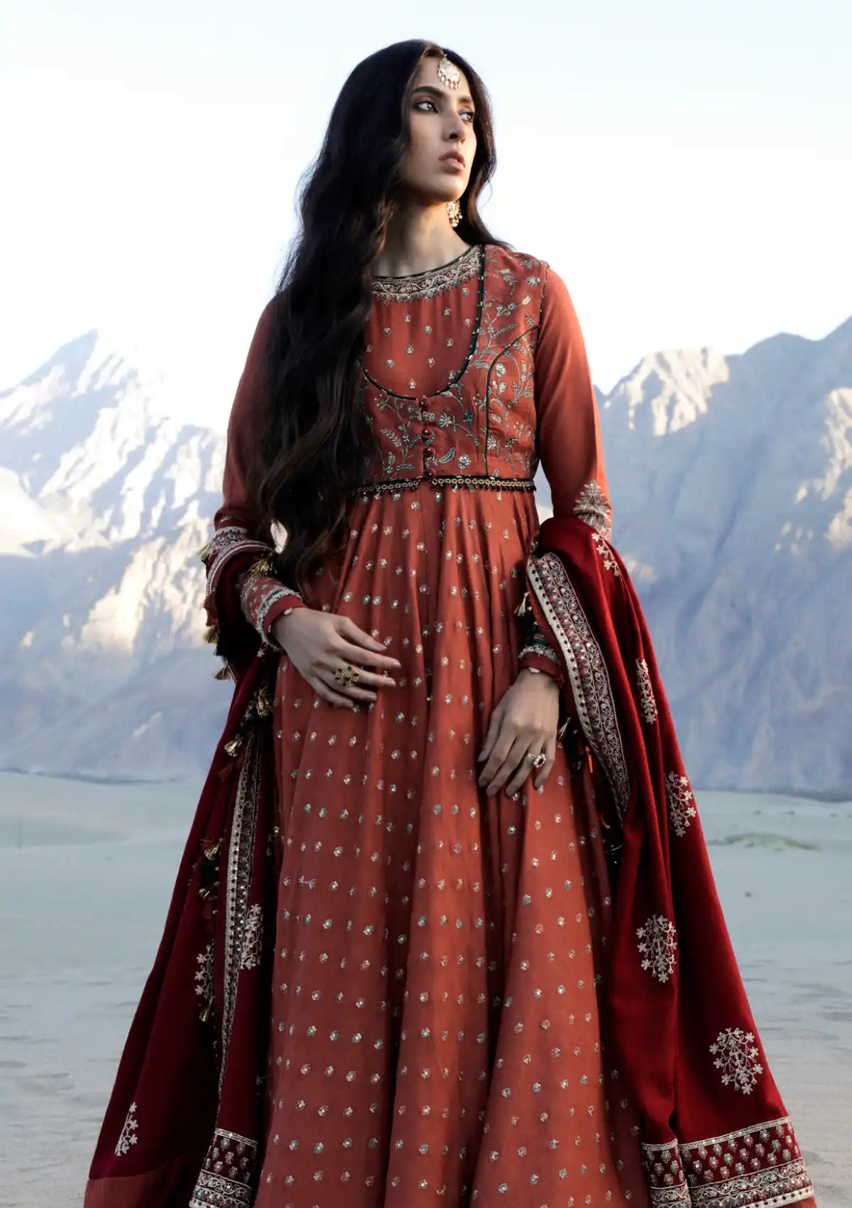 Zara Shahjahan Winter Shawl'23 D-04 - Mohsin Saeed Fabrics