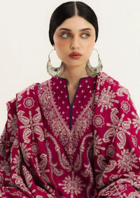 Zara Shahjahan Winter'25 D-06 GULMEER