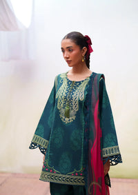 Saira Rizwan Laanem'26 D-01 NAYRA-B