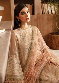 Xenia Raahi Luxury Chiffon'25 D-10 TOYAM