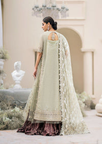 Aik Wedding Festive V-02'23 Look-04
