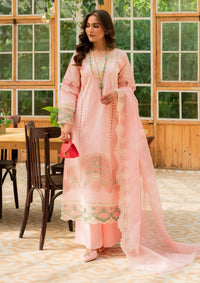 Mahnur Bella Summer Lawn'24 BL-12 - Mohsin Saeed Fabrics