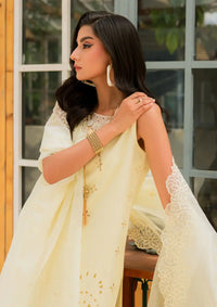 Mahnur Bella Summer Lawn'24 BL-09 - Mohsin Saeed Fabrics