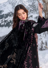 Rang Rasiya Carnation Winter'26 -ONYX