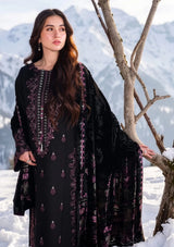 Rang Rasiya Carnation Winter'26 -ONYX